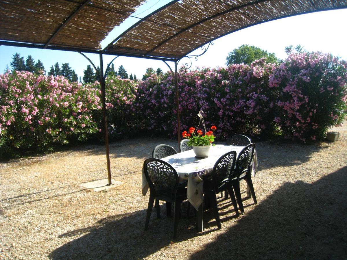 Les Gites Du Mas Canillac Châteaurenard Dış mekan fotoğraf