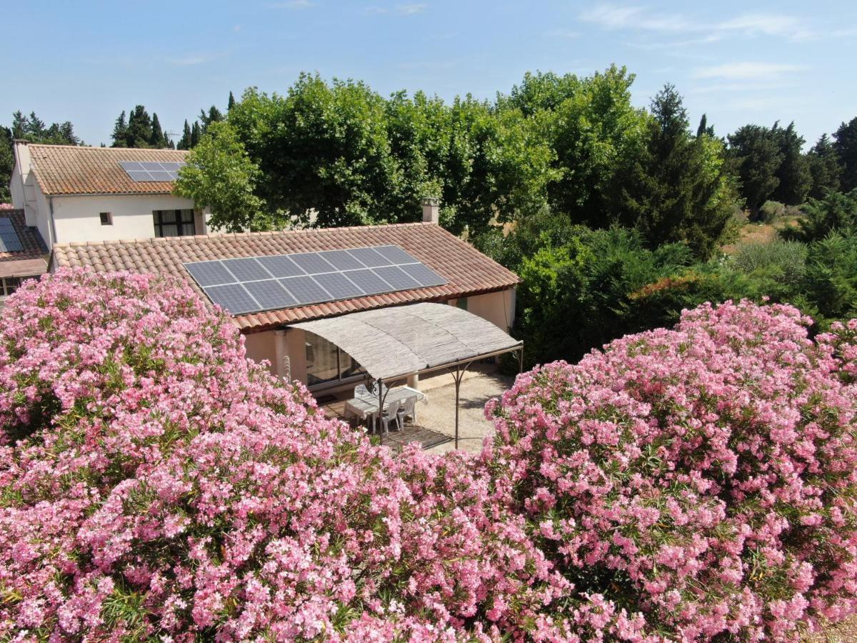 Les Gites Du Mas Canillac Châteaurenard Dış mekan fotoğraf